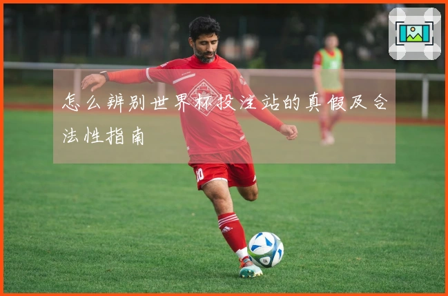 怎么辨别世界杯投注站的真假及合法性指南