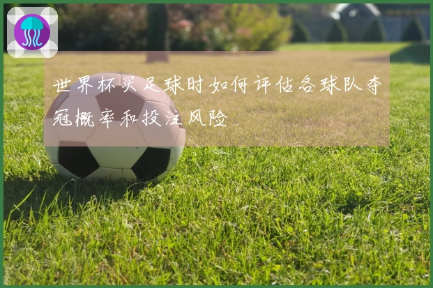世界杯买足球时如何评估各球队夺冠概率和投注风险