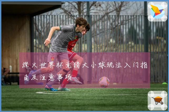 烽火世界杯竞猜大小球玩法入门指南及注意事项