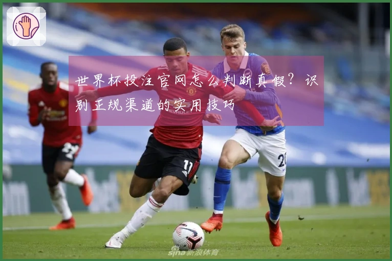 世界杯投注官网怎么判断真假？识别正规渠道的实用技巧