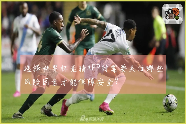 选择世界杯竞猜APP时需要关注哪些风险因素才能保障安全?