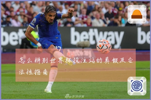 怎么辨别世界杯投注站的真假及合法性指南