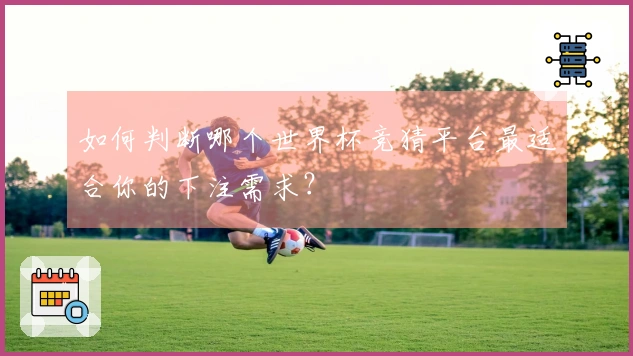 如何判断哪个世界杯竞猜平台最适合你的下注需求？