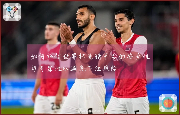 如何评估世界杯竞猜平台的安全性与可靠性以避免下注风险