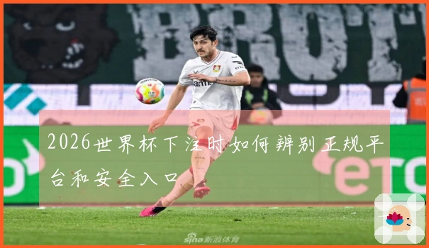 2026世界杯下注时如何辨别正规平台和安全入口