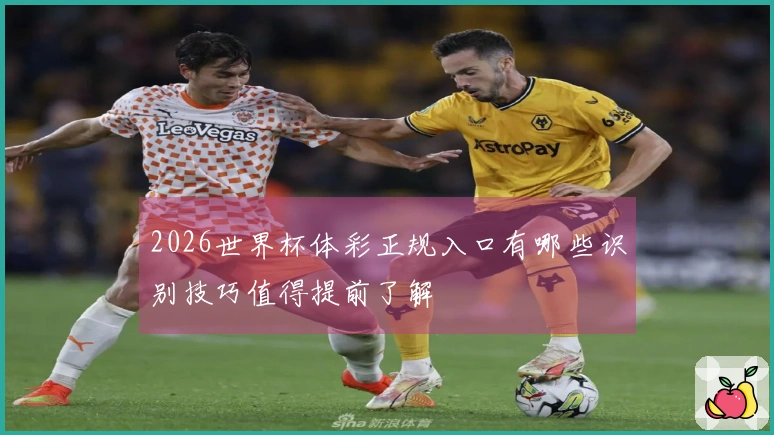 2026世界杯体彩正规入口有哪些识别技巧值得提前了解