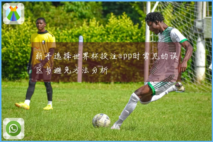 新手选择世界杯投注app时常见的误区与避免方法分析
