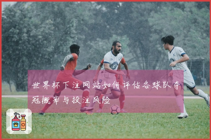 世界杯下注网站如何评估各球队夺冠概率与投注风险
