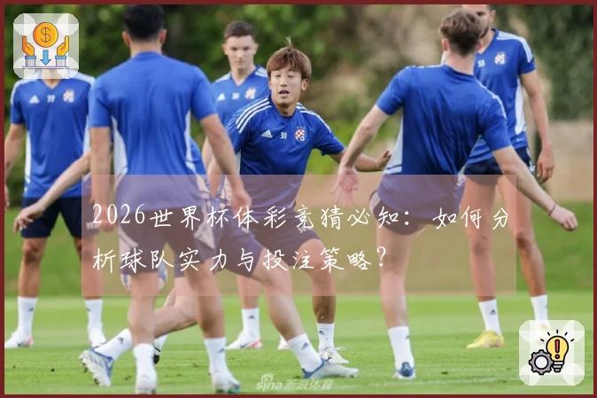 2026世界杯体彩竞猜必知:如何分析球队实力与投注策略?