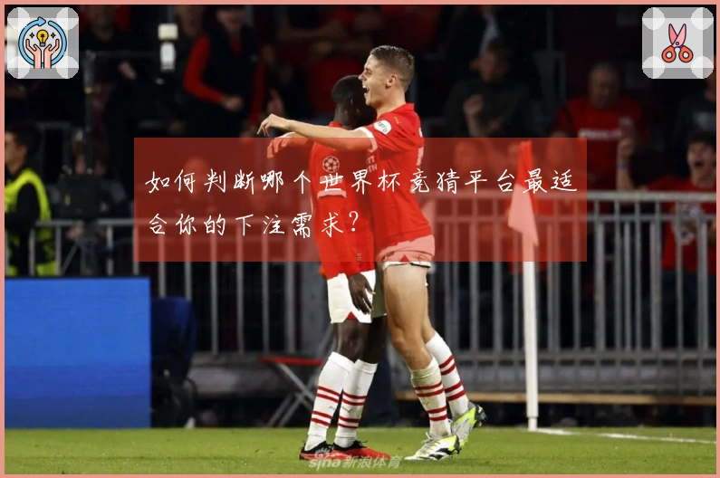 如何判断哪个世界杯竞猜平台最适合你的下注需求？