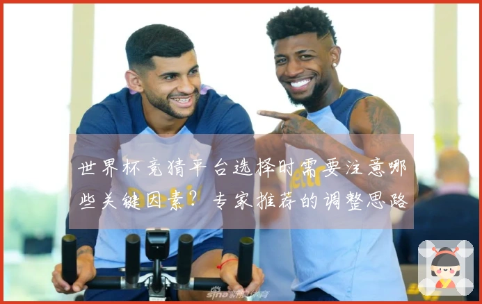 世界杯竞猜平台选择时需要注意哪些关键因素？专家推荐的调整思路是什么？
