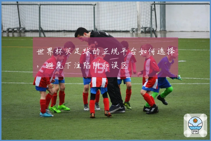 世界杯买足球的正规平台如何选择,避免下注陷阱和误区