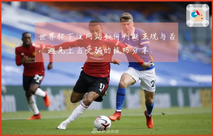 世界杯下注网站如何判断正规与否，避免上当受骗的技巧分享