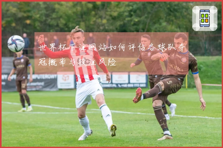 世界杯下注网站如何评估各球队夺冠概率与投注风险