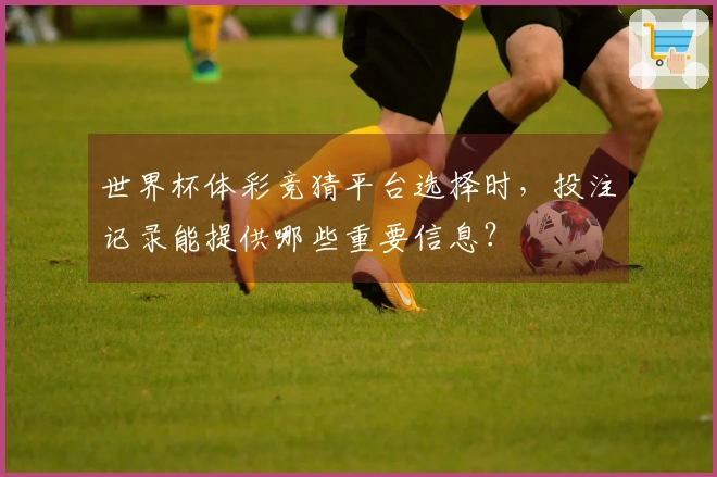 世界杯体彩竞猜平台选择时，投注记录能提供哪些重要信息？
