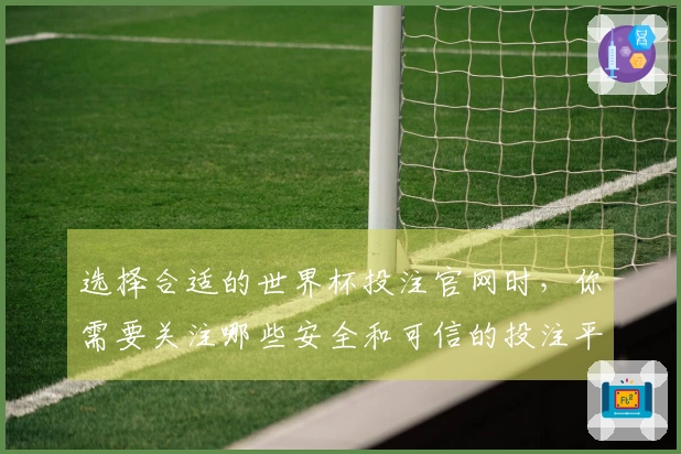 选择合适的世界杯投注官网时，你需要关注哪些安全和可信的投注平台？