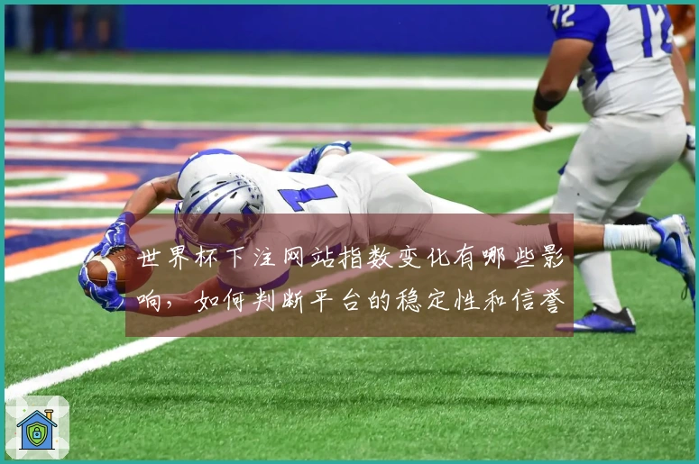 世界杯下注网站指数变化有哪些影响,如何判断平台的稳定性和信誉