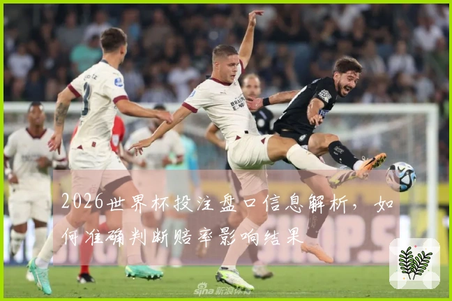 2026世界杯投注盘口信息解析，如何准确判断赔率影响结果
