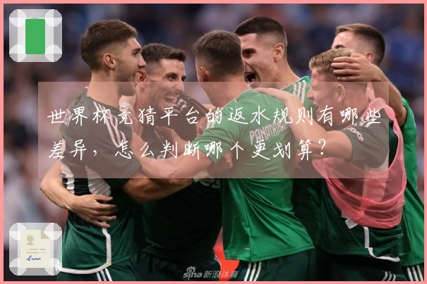 世界杯竞猜平台的返水规则有哪些差异，怎么判断哪个更划算？