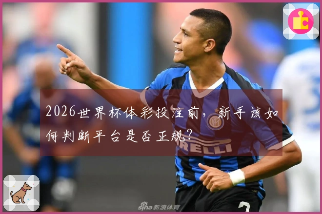 2026世界杯体彩投注前，新手该如何判断平台是否正规？