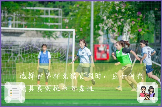 选择世界杯竞猜官网时,应如何判断其真实性和可靠性