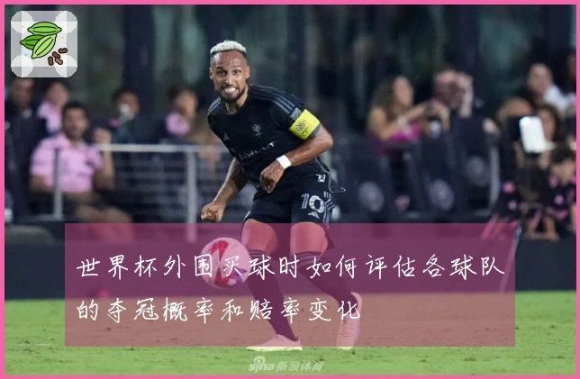世界杯外围买球时如何评估各球队的夺冠概率和赔率变化