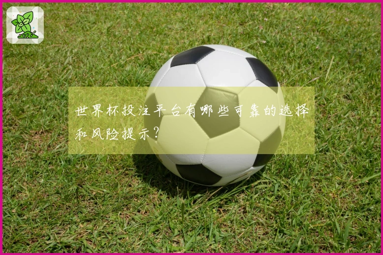 世界杯投注平台有哪些可靠的选择和风险提示？