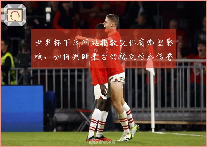 世界杯下注网站指数变化有哪些影响，如何判断平台的稳定性和信誉