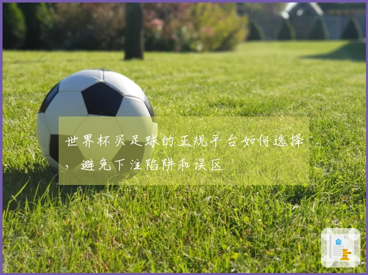 世界杯买足球的正规平台如何选择，避免下注陷阱和误区