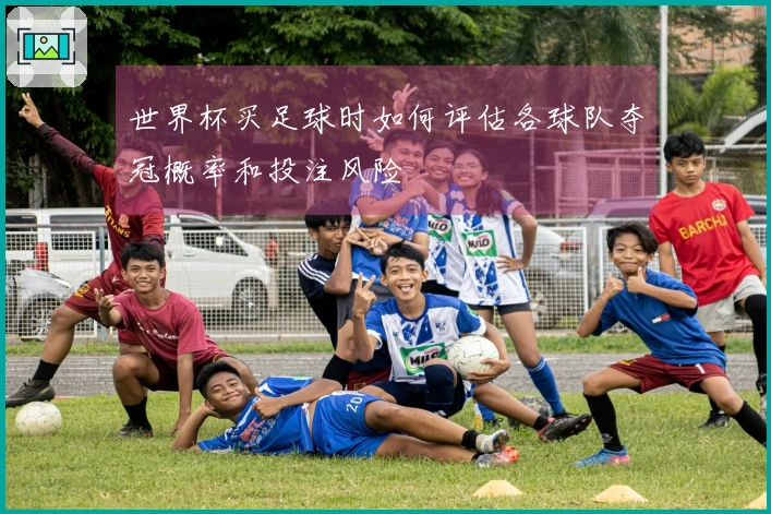 世界杯买足球时如何评估各球队夺冠概率和投注风险