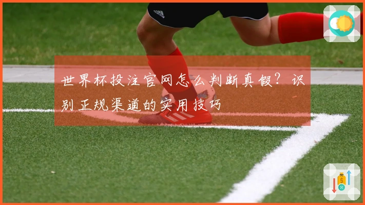 世界杯投注官网怎么判断真假？识别正规渠道的实用技巧